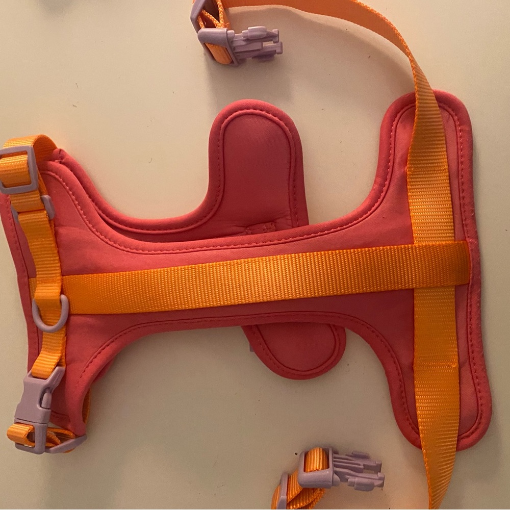Wild one medium collar and harness set